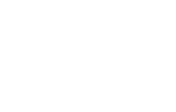 logo nervosa